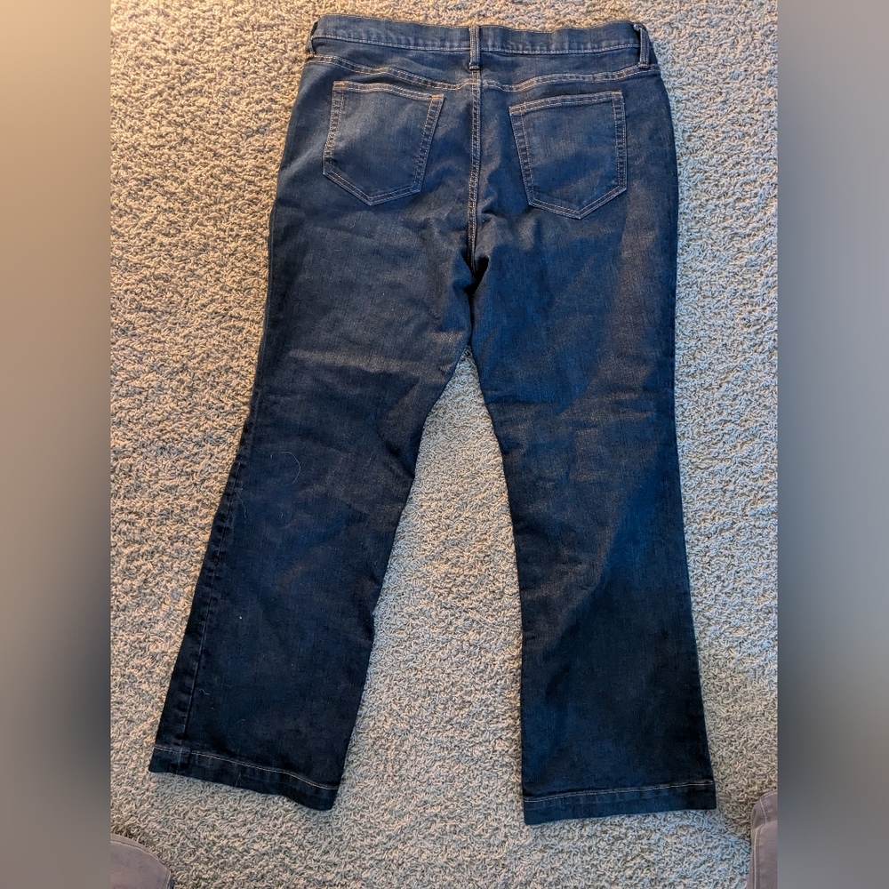 Gap Jeans Long and Lean
